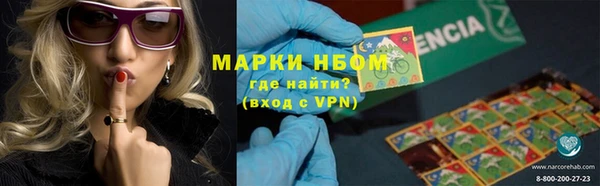стаф Зерноград