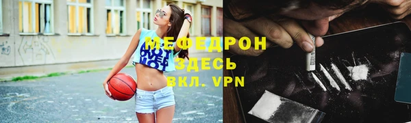 стаф Зерноград
