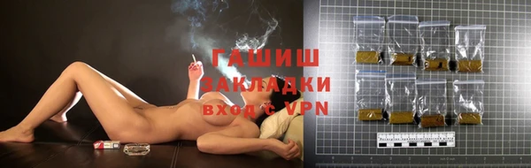сатива Заводоуковск