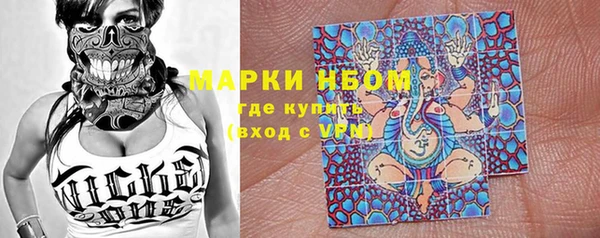 стаф Зерноград