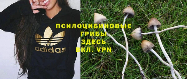 эйфоретик Инсар