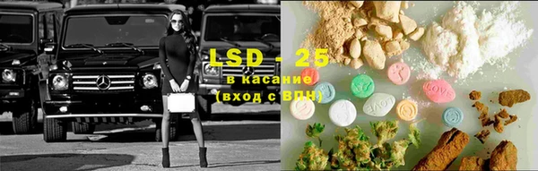 стаф Зерноград